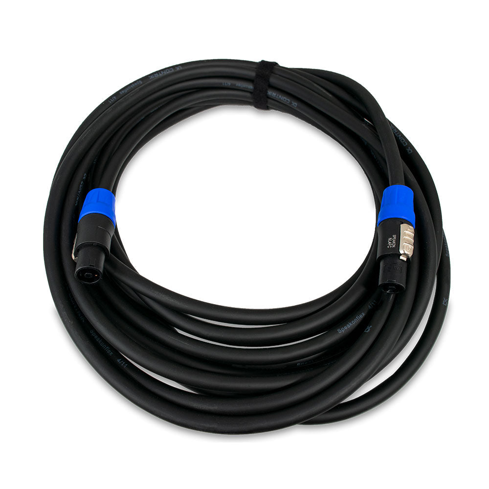 DS3 Dodecahedron Speaker